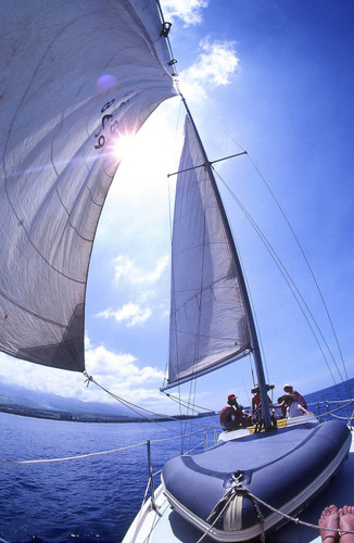 Sailboat under full sail