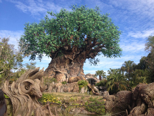 Tree of life