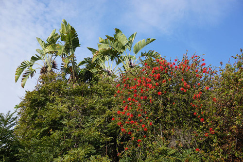 Interstate 10 garden