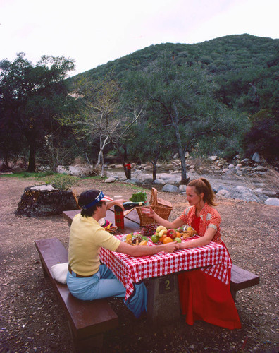 Picnic