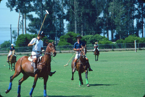 Santa Barbara polo club