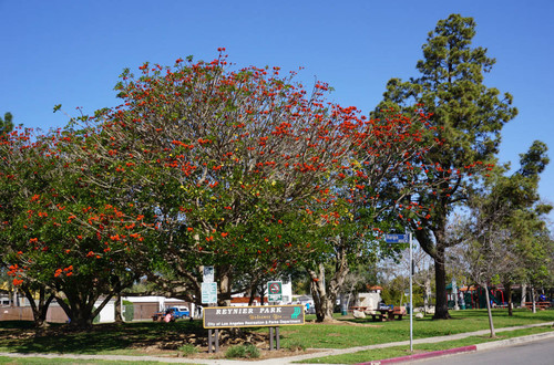 Reynier Park