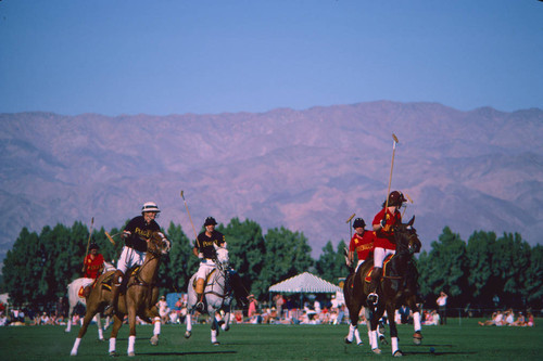 Celebrity polo tournament