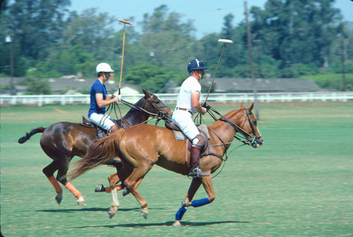 Santa Barbara polo club