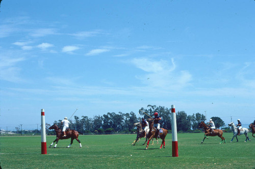 Santa Barbara polo club