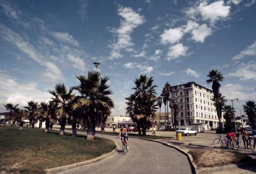 Venice bicycling