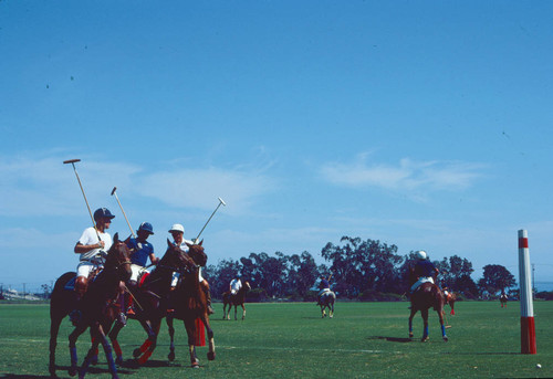 Santa Barbara polo club