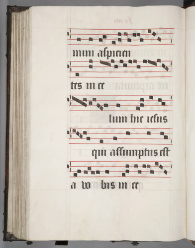 Perkins 4, folio 142, verso