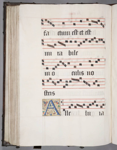 Perkins 4, folio 98, verso