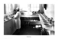 Cannery worker in sample room