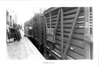 Cannery workers unloading from train cars