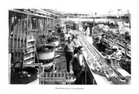 Cannery workers by distributing belt to syrup machines