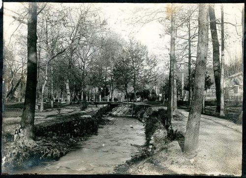 View of stream in park