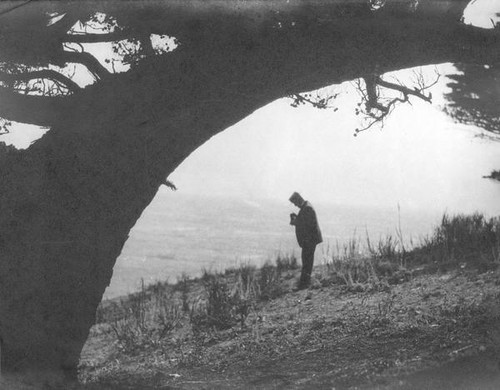 Man beneath a tree