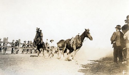 Roping a steer