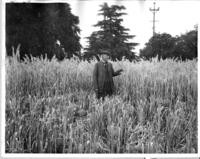 Unknown man in field