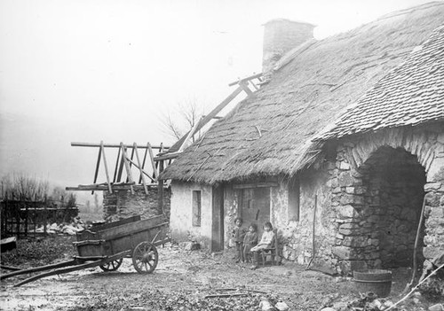 Thatched roof house