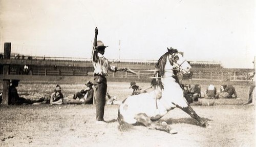 Man with a piebald horse