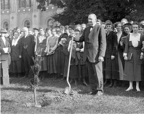 Tree planting ceremony