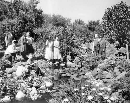 Scene at a pond