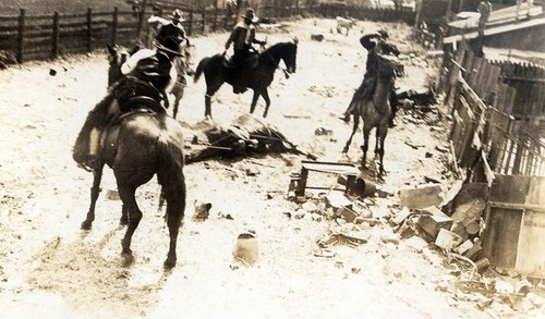 Roping a steer