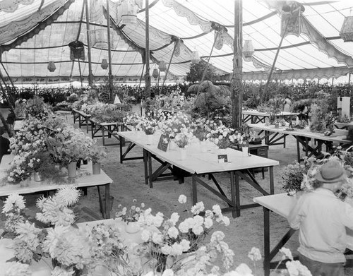 Tables of flowers at the county fair