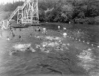 People swimming