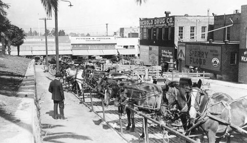 Parking lot of horse-drawn carriages