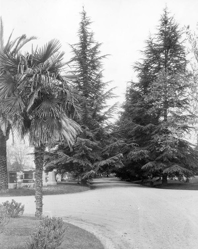 Oak Hill Memorial Park