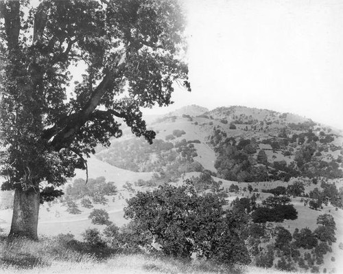 View of Mount Hamilton