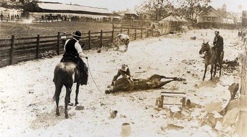 Roping a steer