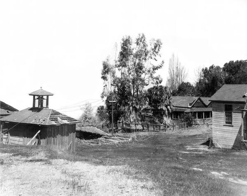 Buildings amongst some trees