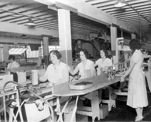 Weighing and packing prunes