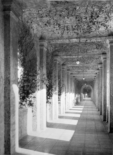 Interior walkway of the quad