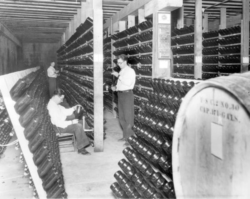 Examining bottles of wine