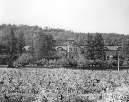 Greystone Cellars