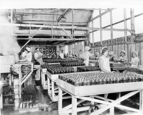 Filling glass jars with fruit