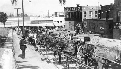 Parking lot of horse-drawn carriages