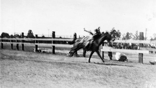 Horse riding stunt