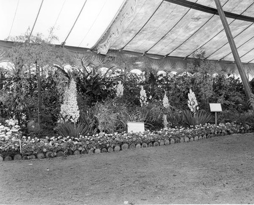 Flowers and plants at a garden show