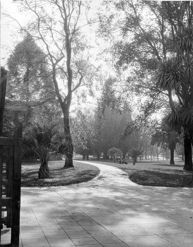 San Jose State College campus