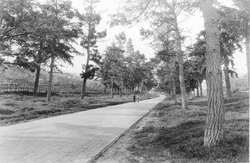 Walking a brick paved path