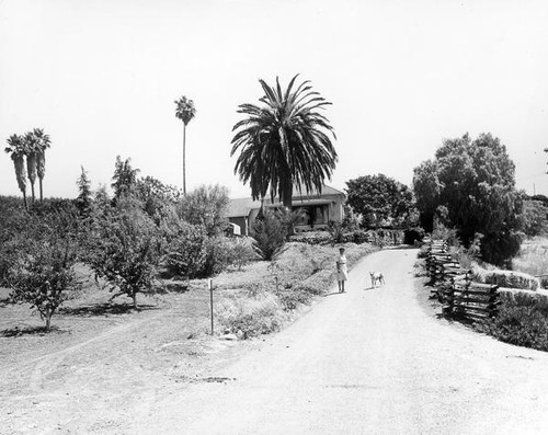 Woman standing in driveway