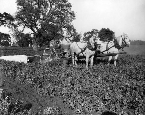 Applying pesticide to crops