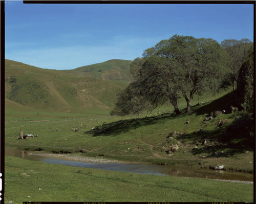 Pacheco Pass