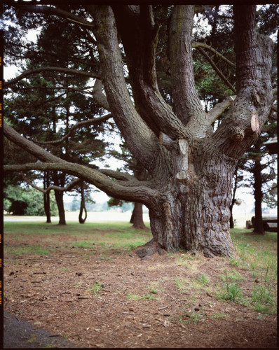 Untitled, Fort Humboldt