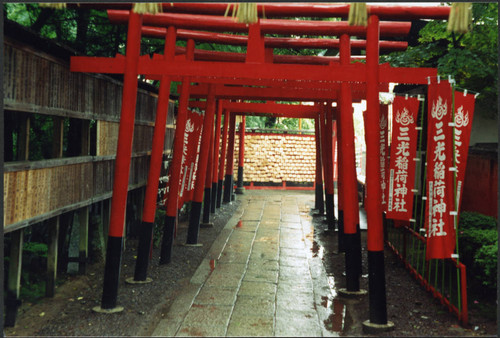 Torii