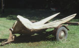 Sperm whale skull