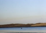 Morro Bay mud flats