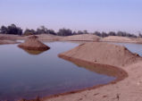 Bernard Field Station lake